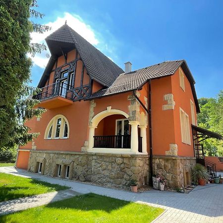 Penzion Villa Amélie Mladá Boleslav Exterior foto
