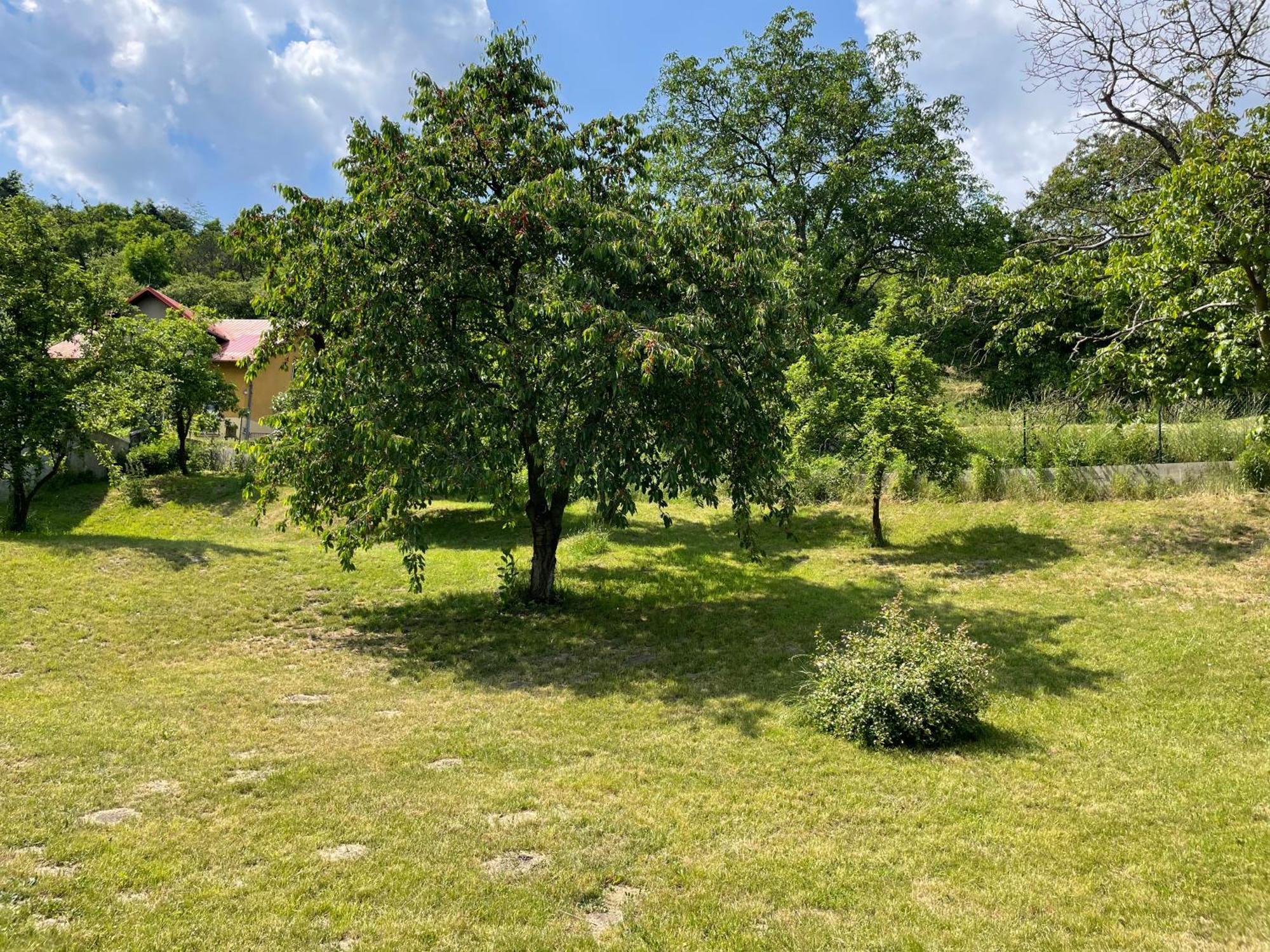 Penzion Villa Amélie Mladá Boleslav Exterior foto